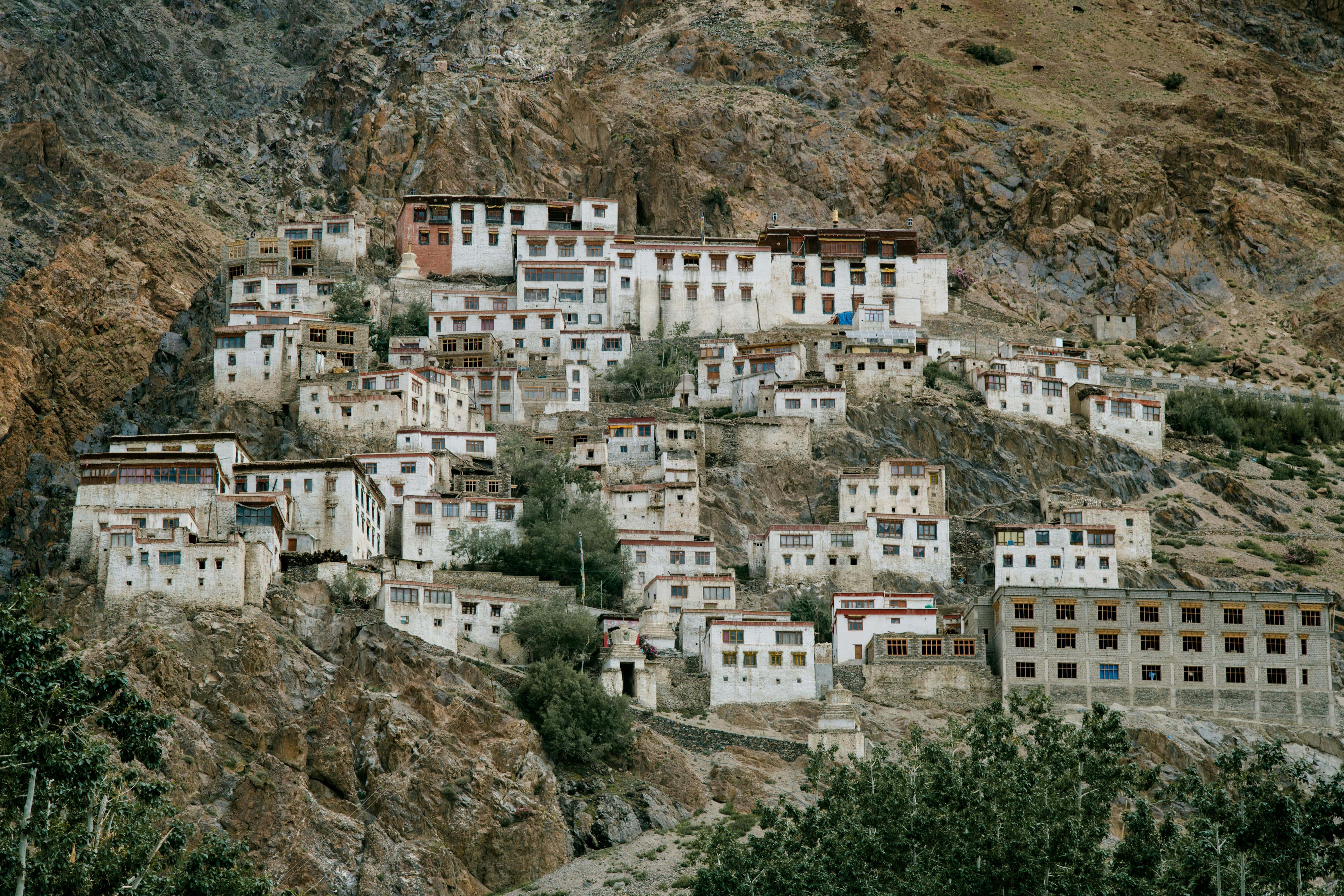 Monastery Tours in Leh